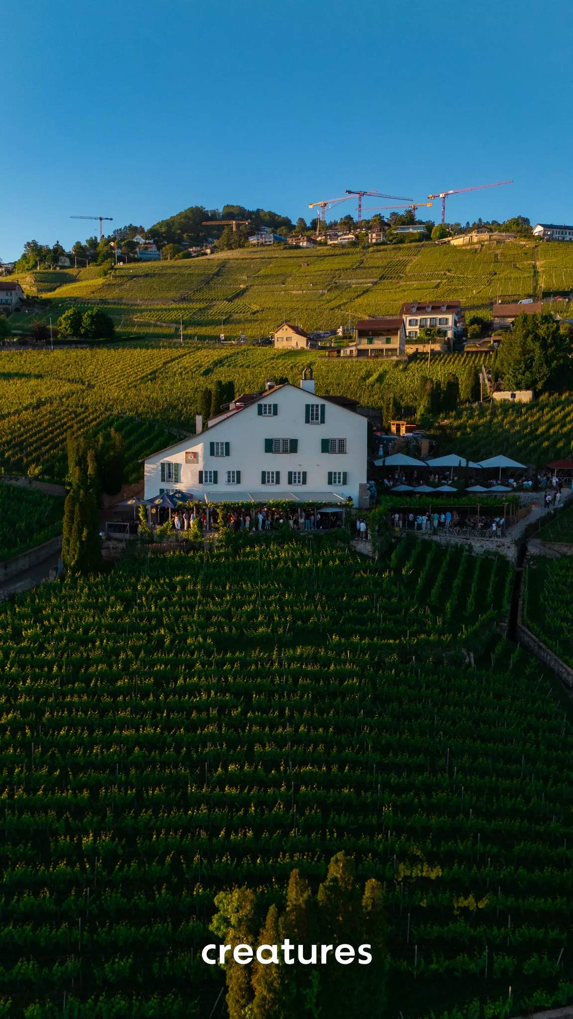 Domaine de la Crausaz - Image 3