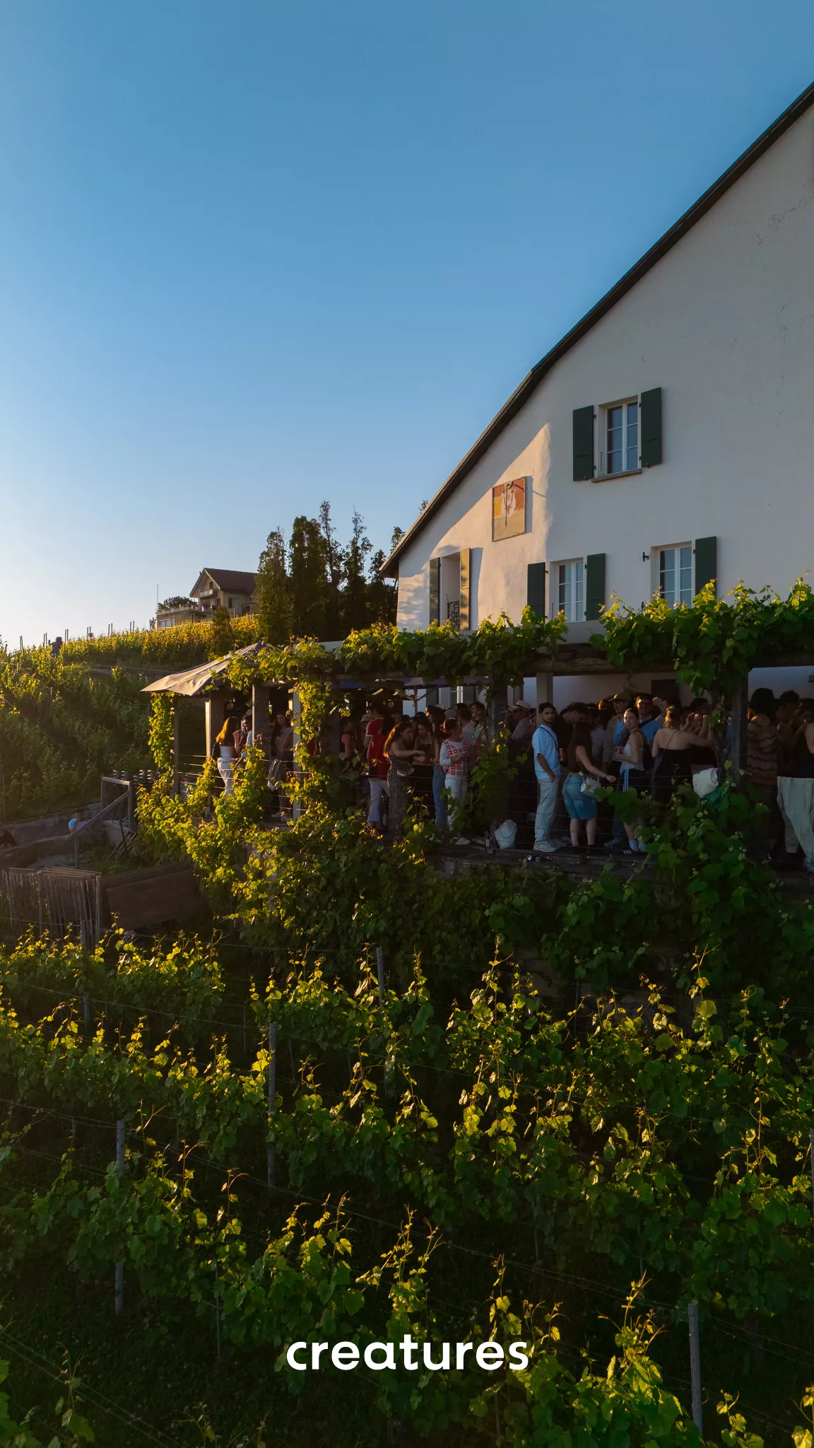 Domaine de la Crausaz - Image 6