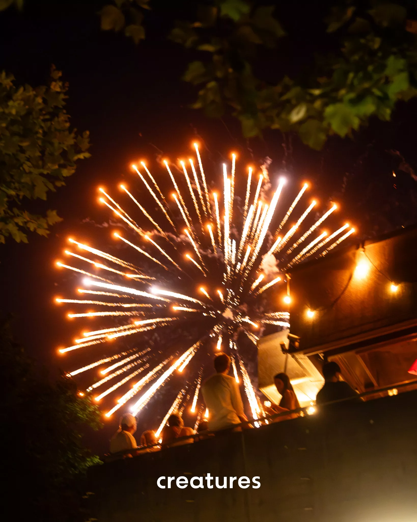 Swiss National Day - Le Lacustre - Image 30