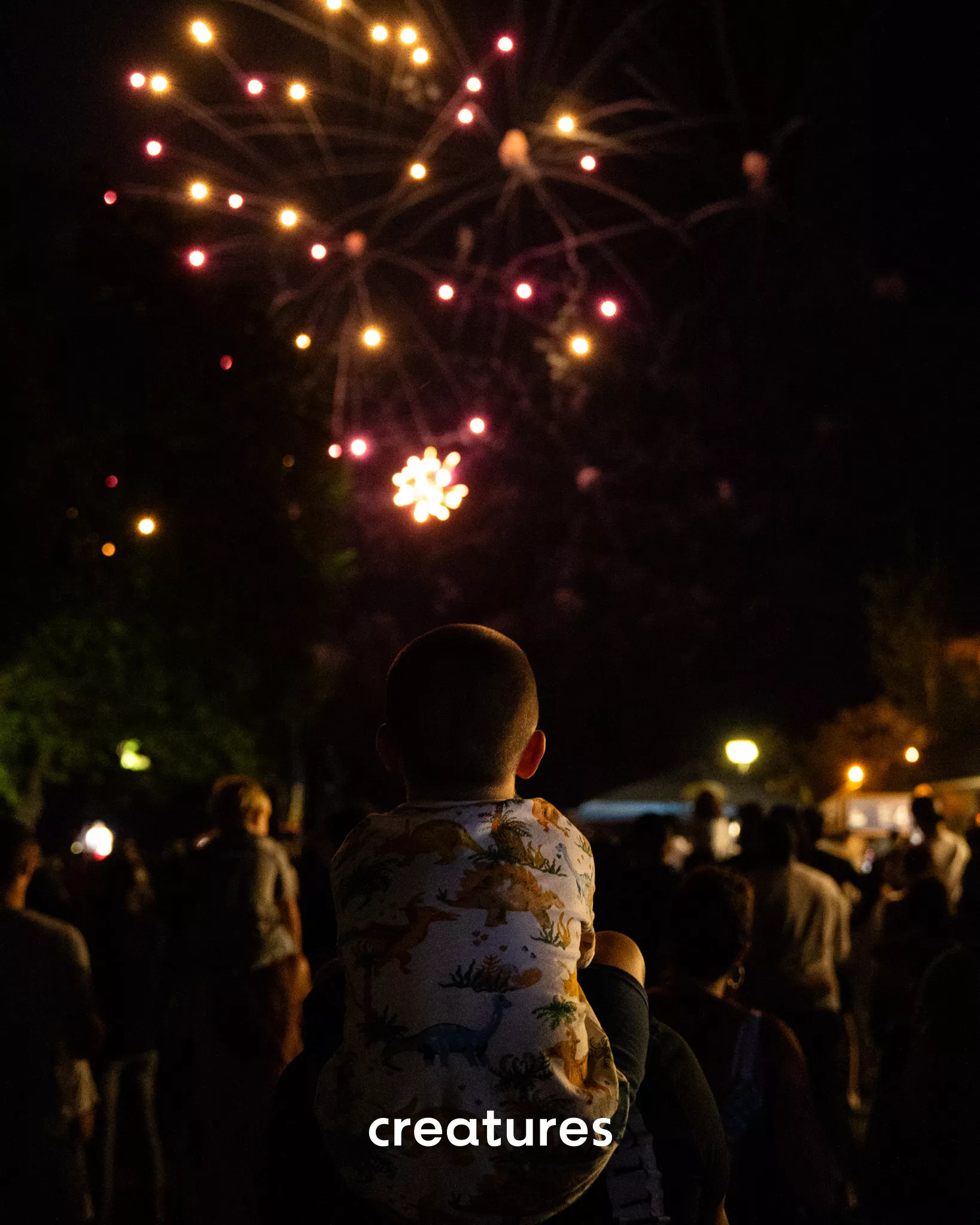 Swiss National Day - Le Lacustre - Image 32