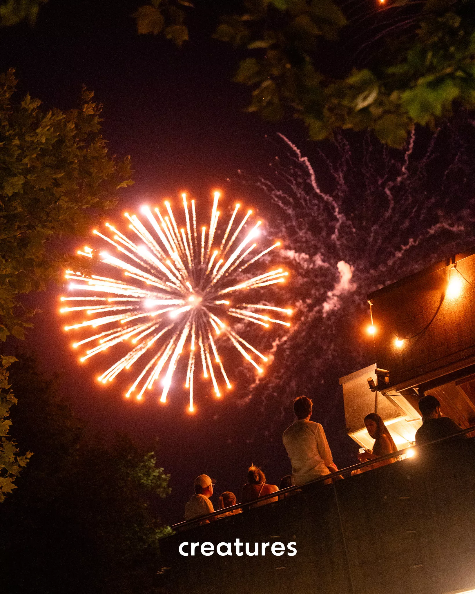 Swiss National Day - Le Lacustre - Image 31