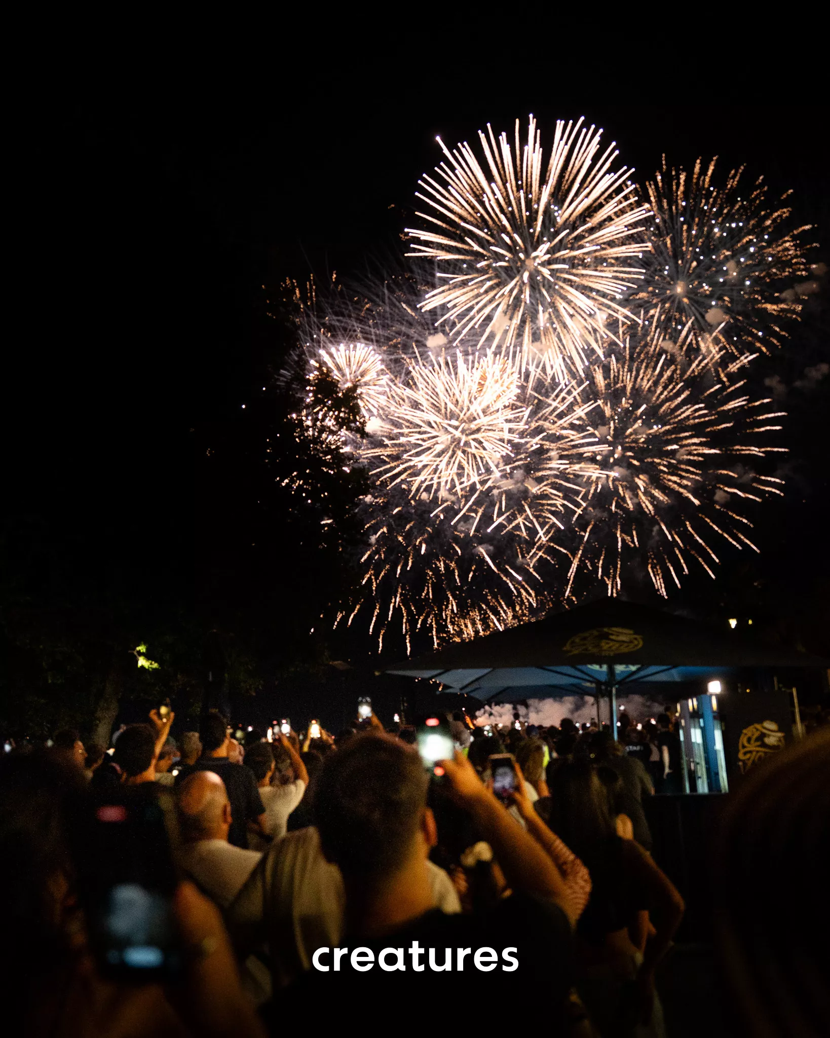 Swiss National Day - Le Lacustre - Image 34
